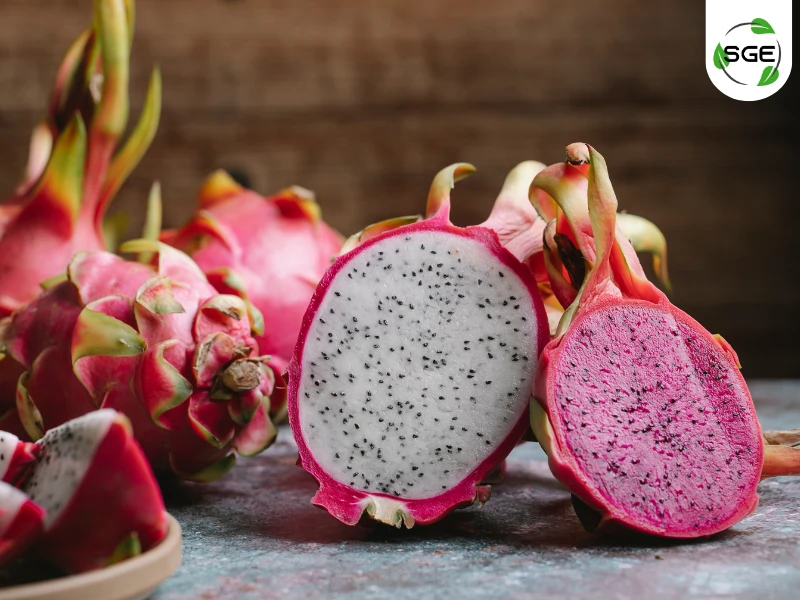 แก้วมังกร (Dragon Fruit) แก้วมังกร (Dragon Fruit)