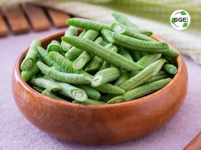 ถั่วฝักยาว (Yard Long Bean) ถั่วฝักยาว (Yard Long Bean)