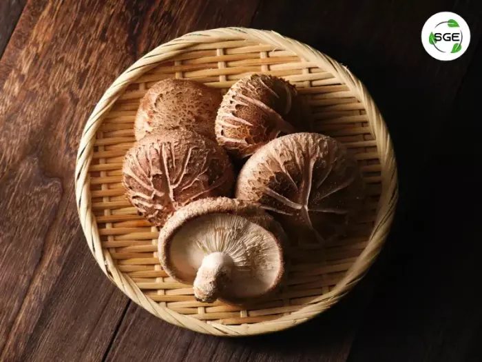 เห็ดหอม (Shiitake Mushroom) เห็ดหอม (Shiitake Mushroom)