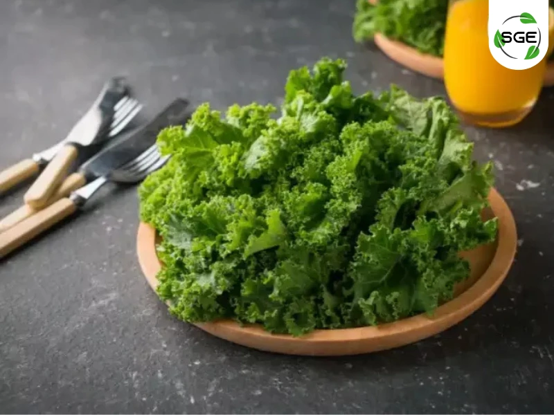 ผักเคล (Kale) ผักเคล (Kale)