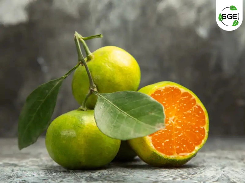 ส้มเขียวหวาน (Tangerine) ส้มเขียวหวาน (Tangerine)