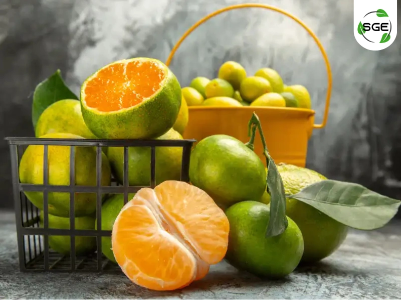 ส้มเขียวหวาน (Tangerine) ส้มเขียวหวาน (Tangerine)