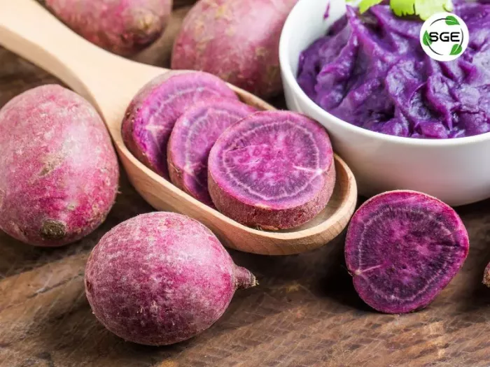 มันม่วง (Purple Sweet Potato) มันม่วง (Purple Sweet Potato)