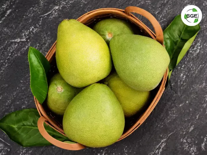ส้มโอ (Pomelo) ส้มโอ (Pomelo)