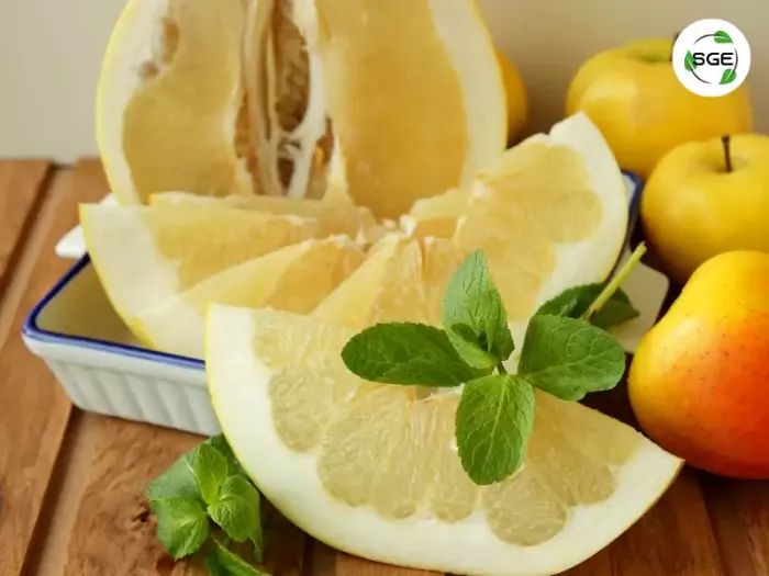 ส้มโอ (Pomelo) ส้มโอ (Pomelo)