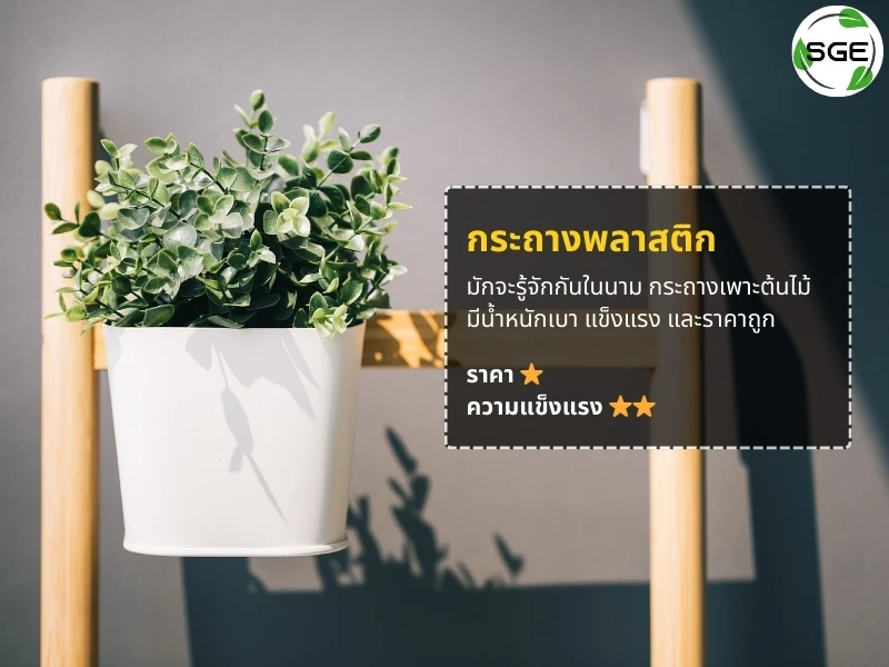 กระถางพลาสติก กระถางพลาสติก