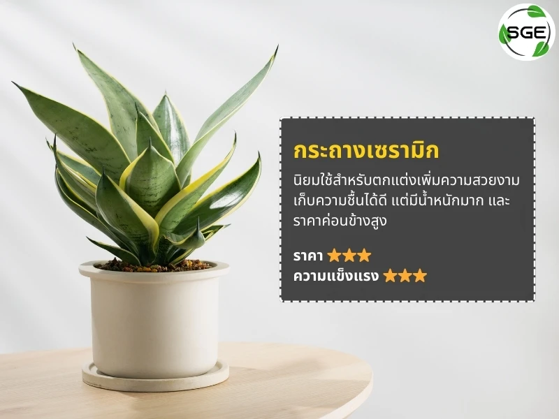 กระถางเซรามิก กระถางเซรามิก