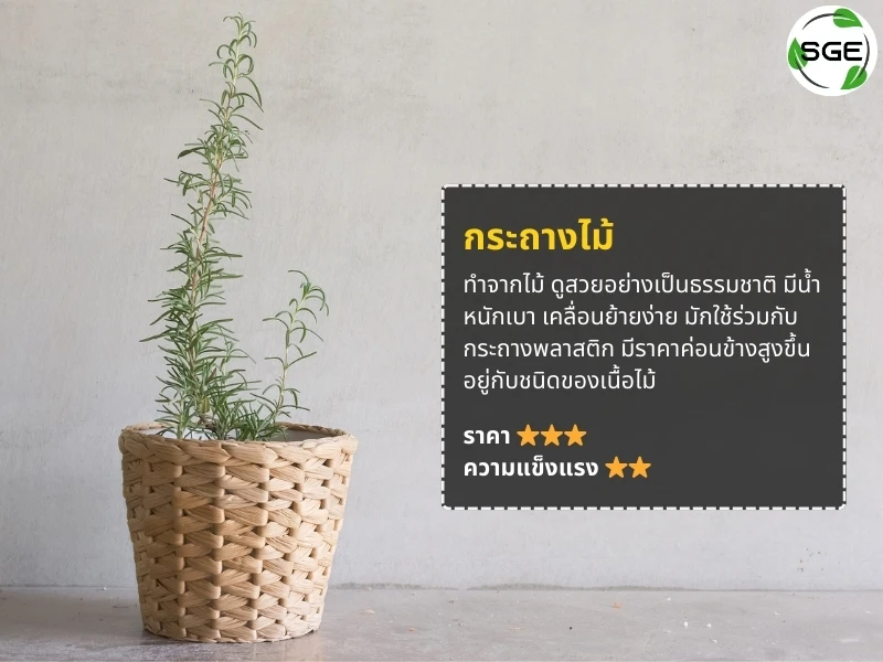 กระถางไม้ กระถางไม้
