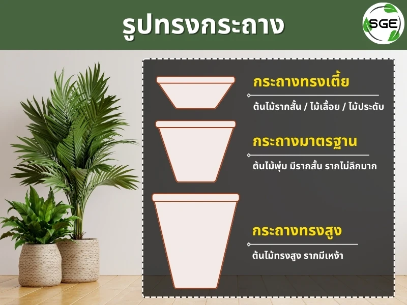 รูปทรงกระถางต้นไม้ มีแบบไหนบ้าง? รูปทรงกระถางต้นไม้ มีแบบไหนบ้าง?