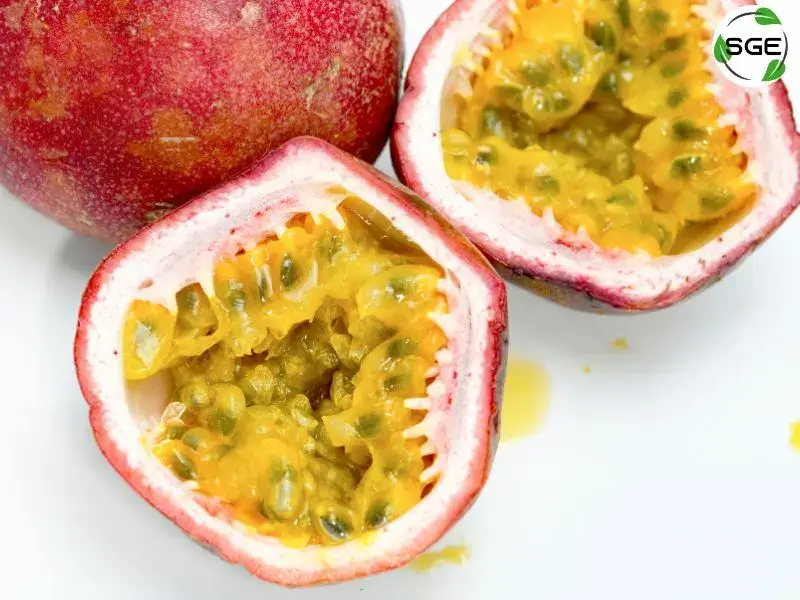เสาวรส (Passion fruit) เสาวรส (Passion fruit)