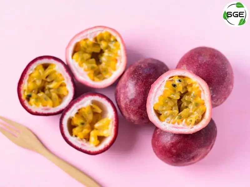 พันธุ์ผลสีม่วง (Purple Passion fruit) พันธุ์ผลสีม่วง (Purple Passion fruit)