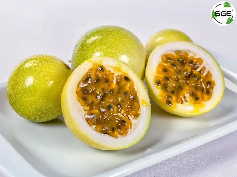 พันธุ์ผลสีเหลือง (Golden Passion fruit) พันธุ์ผลสีเหลือง (Golden Passion fruit)