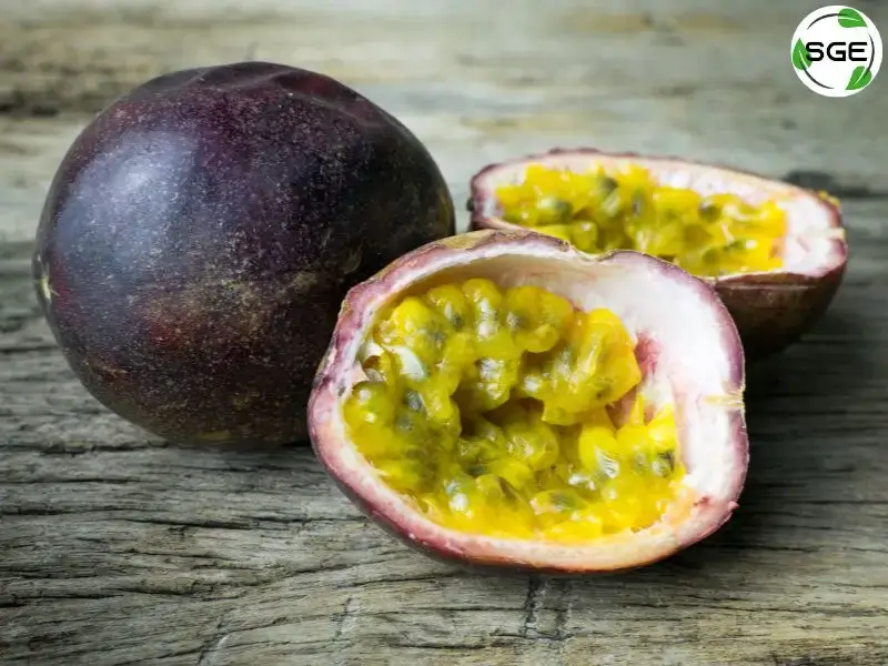พันธุ์ลูกผสม (Hybrid Passion fruit) พันธุ์ลูกผสม (Hybrid Passion fruit)