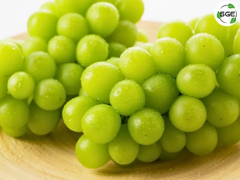 องุ่นไซมัสคัส (Shine muscat) องุ่นไซมัสคัส (Shine muscat)