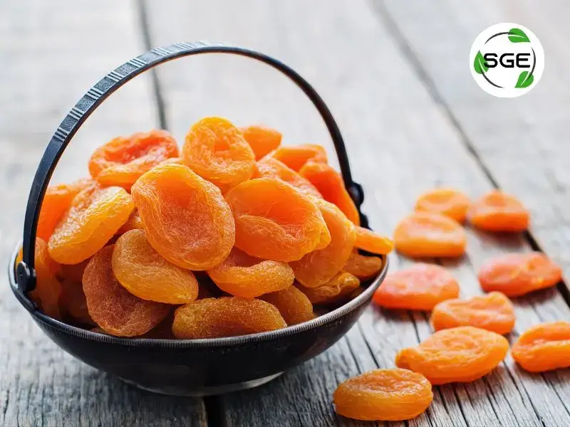 แอปริคอตอบแห้ง (Dried Apricot) แอปริคอตอบแห้ง (Dried Apricot)