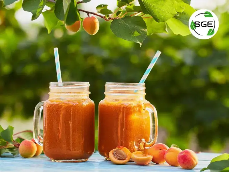 แอปริคอตสมูทตี้ (Apricot Smoothies) แอปริคอตสมูทตี้ (Apricot Smoothies)