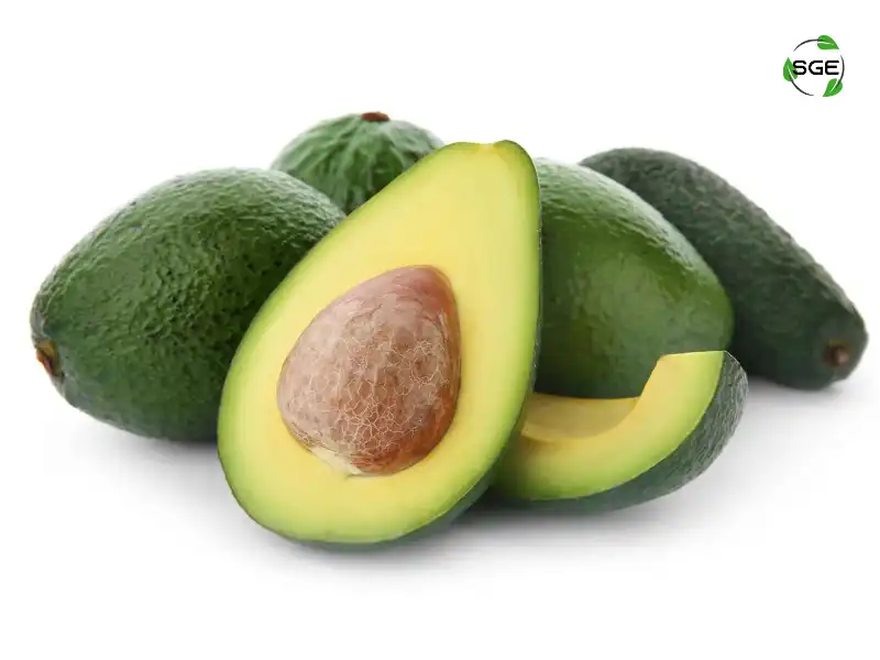 อะโวคาโด (Avocado) อะโวคาโด (Avocado)