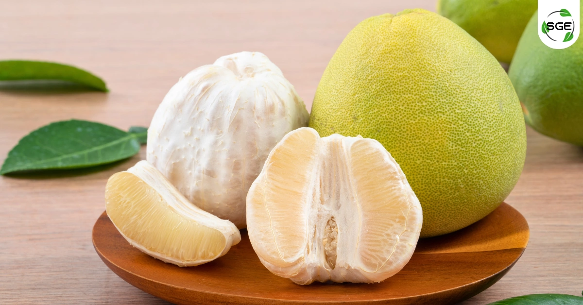 พามารู้จัก “ส้มโอ” มีทั้งหมดกี่สายพันธุ์? มีประโยชน์อะไรที่ไม่ควรพลาด? พามารู้จัก “ส้มโอ” มีทั้งหมดกี่สายพันธุ์? มีประโยชน์อะไรที่ไม่ควรพลาด?