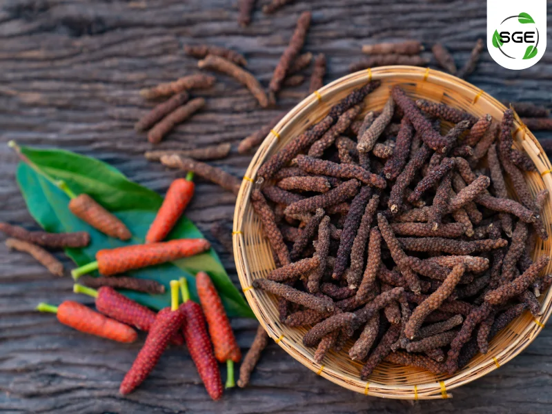 ดีปลี (Indian long pepper) ดีปลี (Indian long pepper)