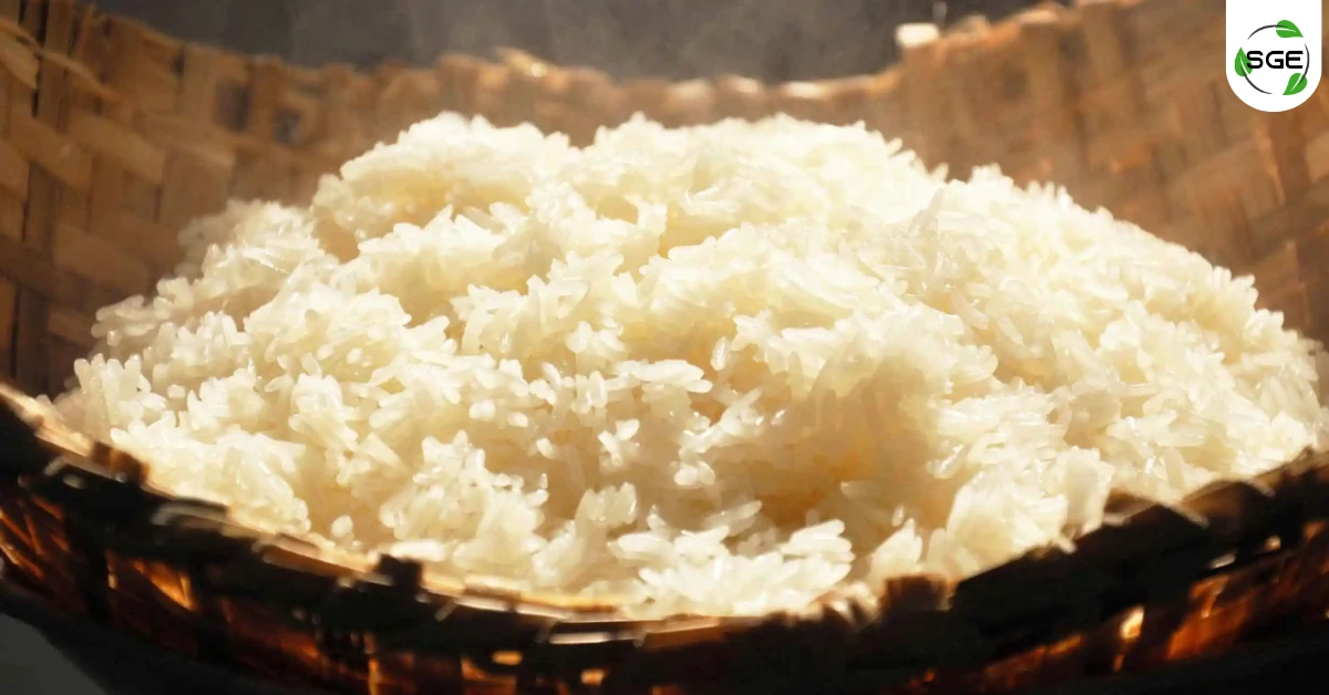 ข้าวเหนียว ข้าวเหนียว