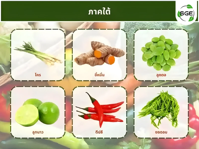 ผักพื้นบ้านประจำ ภาคใต้ ผักพื้นบ้านประจำ ภาคใต้