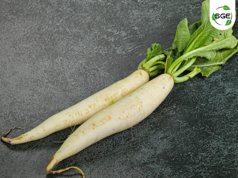 หัวไชเท้า (Daikon) คืออะไร? หัวไชเท้า (Daikon) คืออะไร?