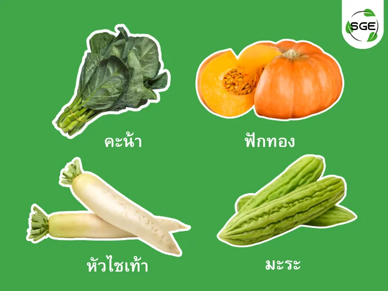 ปลูกผักตามฤดูกาล กันยายน ปลูกผักตามฤดูกาล กันยายน