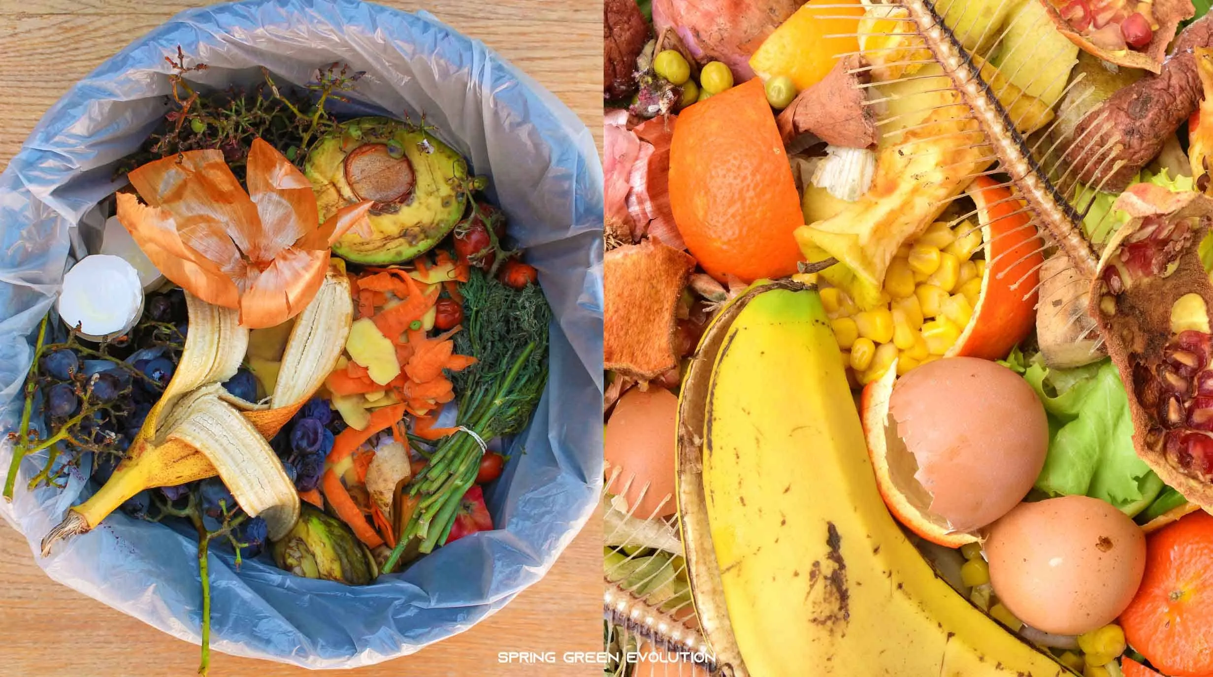 ประเภทของ ขยะอินทรีย์ มีอะไรบ้าง? ประเภทของ ขยะอินทรีย์ มีอะไรบ้าง?