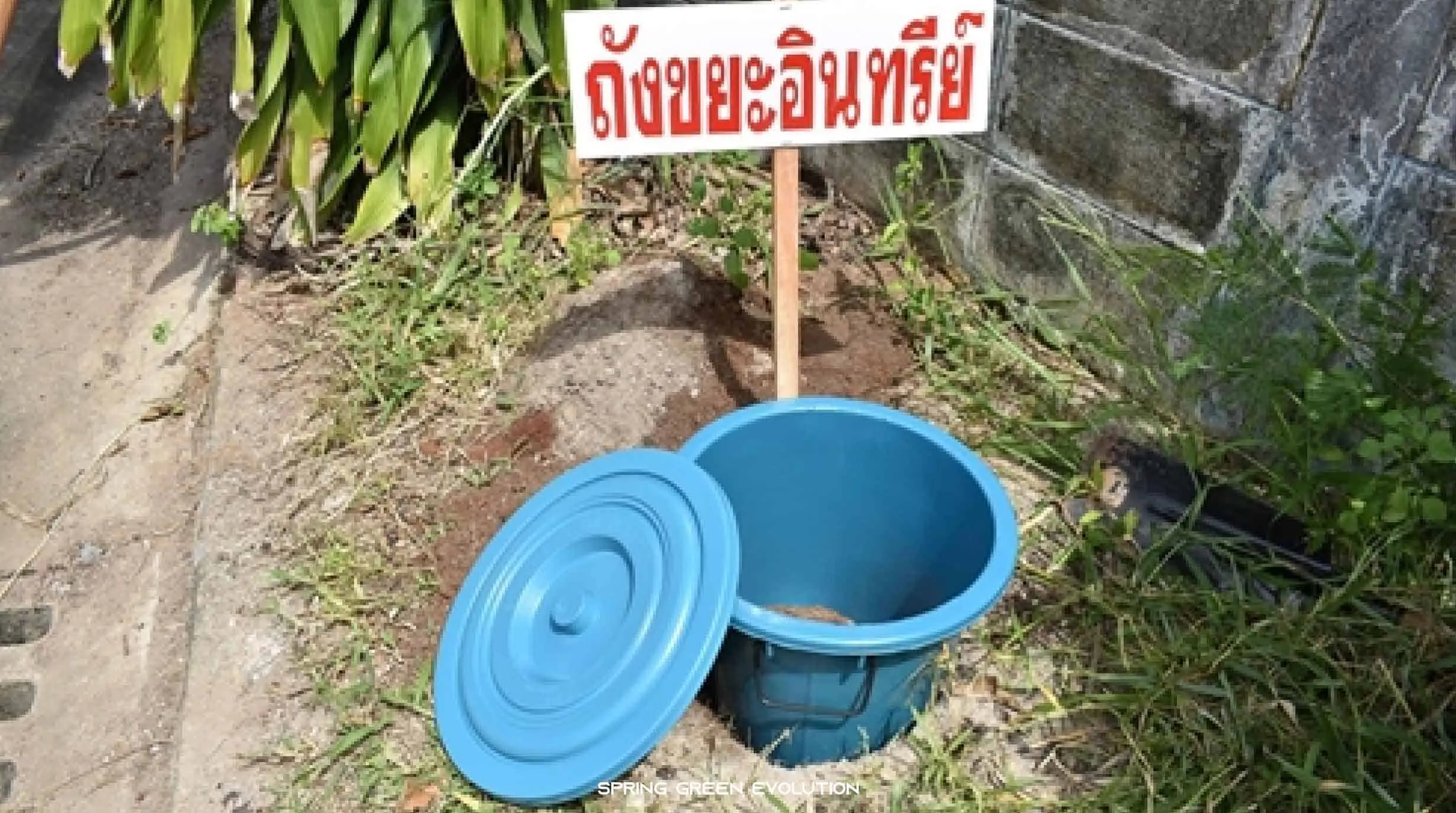 ขยะอินทรีย์ นอกจากทำเป็นปุ๋ย ยังสามารถทำอะไรได้อีก? ขยะอินทรีย์ นอกจากทำเป็นปุ๋ย ยังสามารถทำอะไรได้อีก?