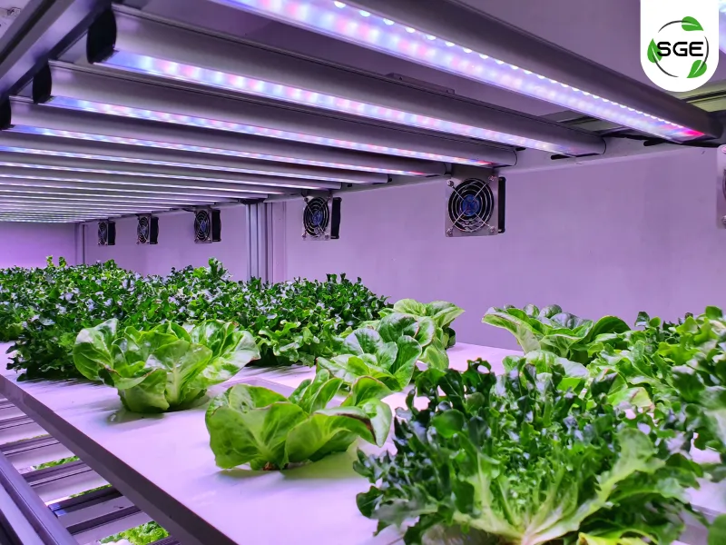 แปลงผักยกสูง Smart indoor farm แปลงผักยกสูง Smart indoor farm