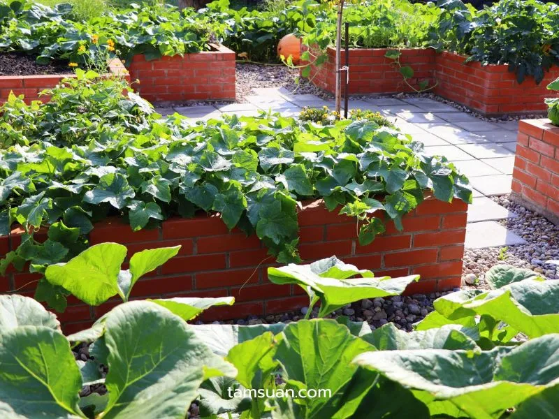 Urban Farming คืออะไร มีลักษณะแบบไหน Urban Farming คืออะไร มีลักษณะแบบไหน